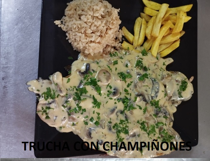 Plato 2