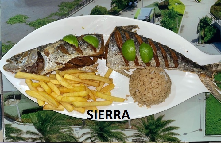 Plato 3
